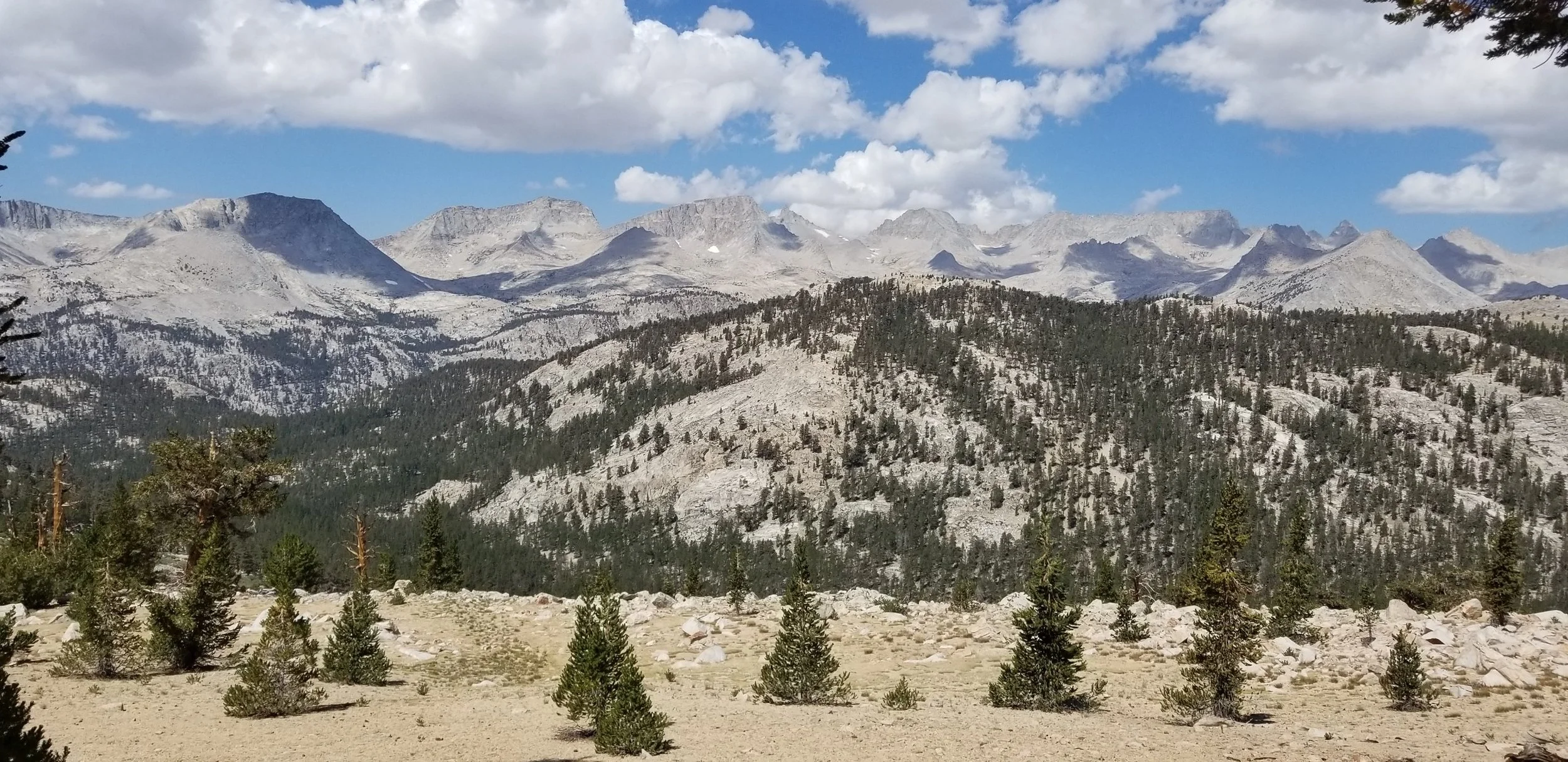 Resized_20180817_112821_7901.jpeg