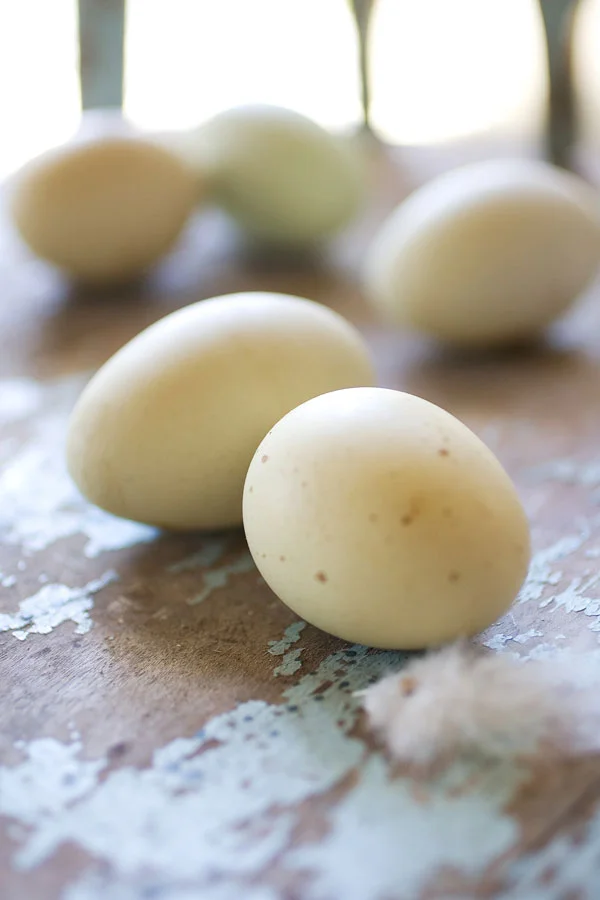 Farm-Eggs.jpg