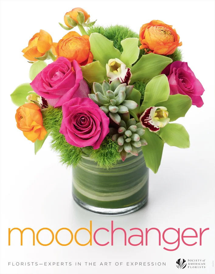 SAF_Marketing_Kit_2015_MoodChanger_Poster_V3.jpg