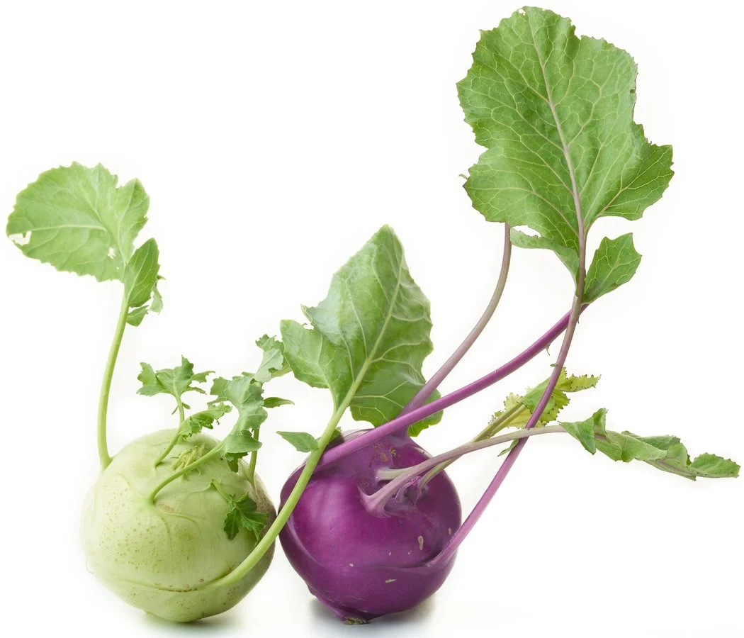 Kohlrabi-Purple-Renee-Comet-Food-Photographer. For advertising food photography, food photography packaging, food photography online ordering, commercial food photography, food photography cookbooks, food photography libraries, food photography digi