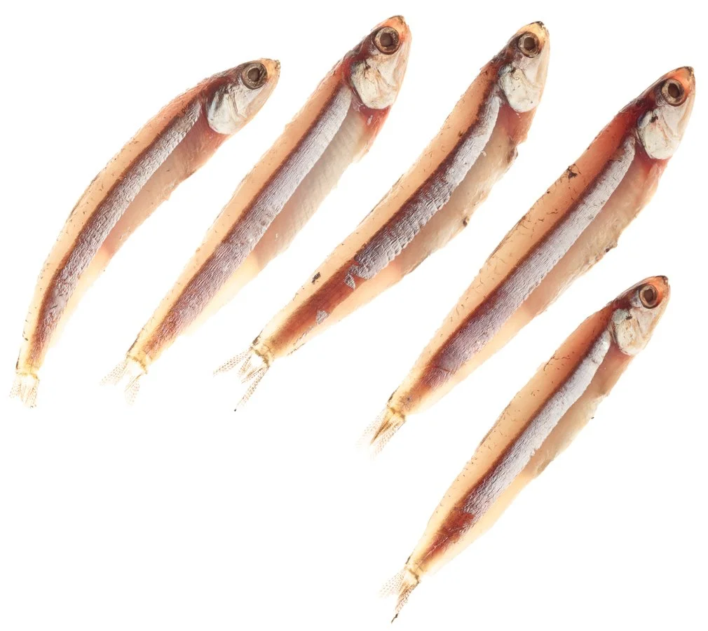 Fish-Renee-Comet-Food-Photographer. For advertising food photography, food photography packaging, food photography online ordering, commercial food photography, food photography cookbooks, food photography libraries, food photography digital content