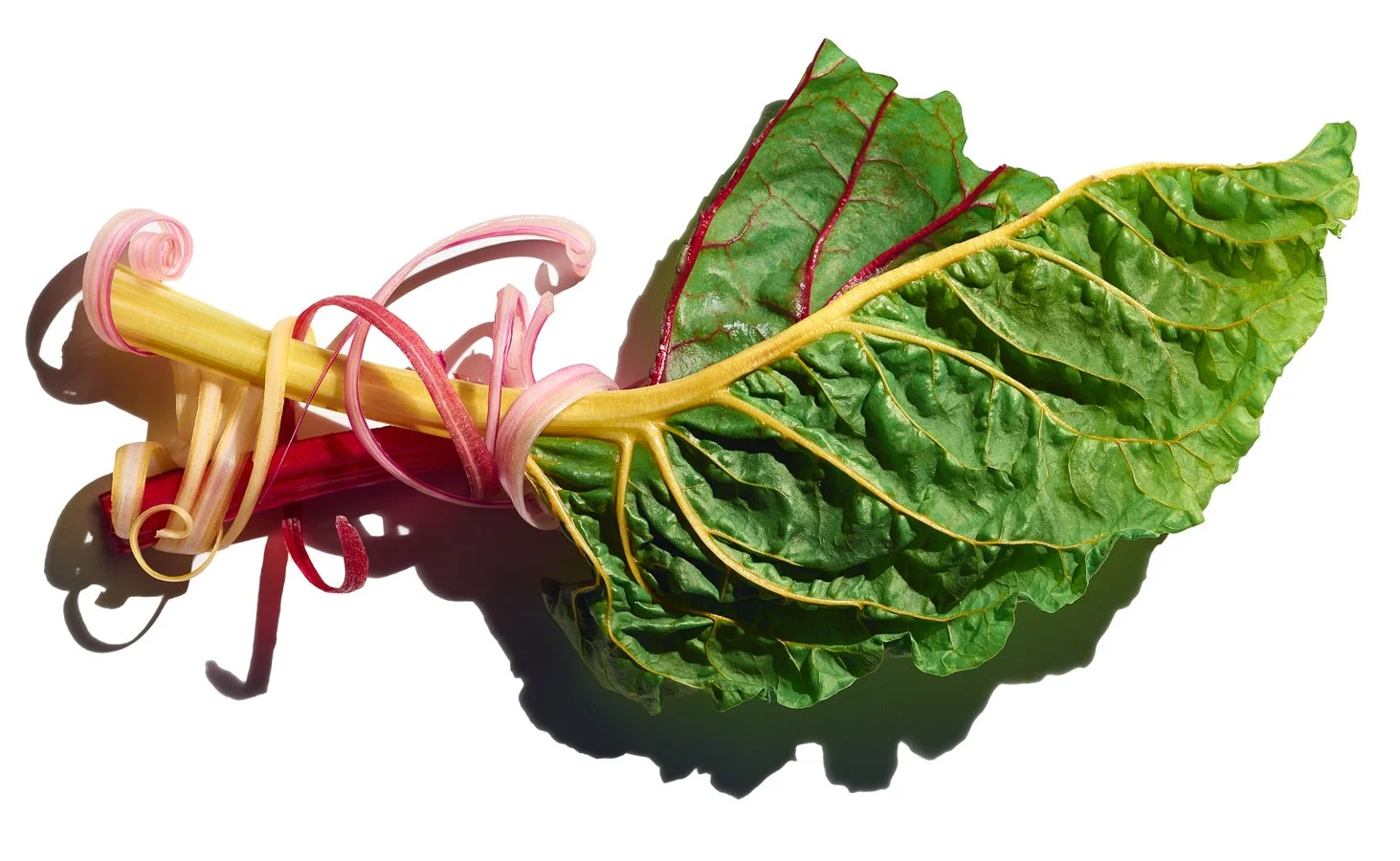  Swiss-Chard-Renee-Comet-Food-Photographer. For advertising food photography, food photography packaging, food photography online ordering, commercial food photography, food photography cookbooks, food photography libraries, food photography digital 