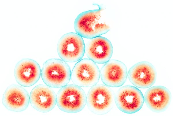  Fig-Renee-Comet-Food-Photographer. For advertising food photography, food photography packaging, food photography online ordering, commercial food photography, food photography cookbooks, food photography libraries, food photography digital content.
