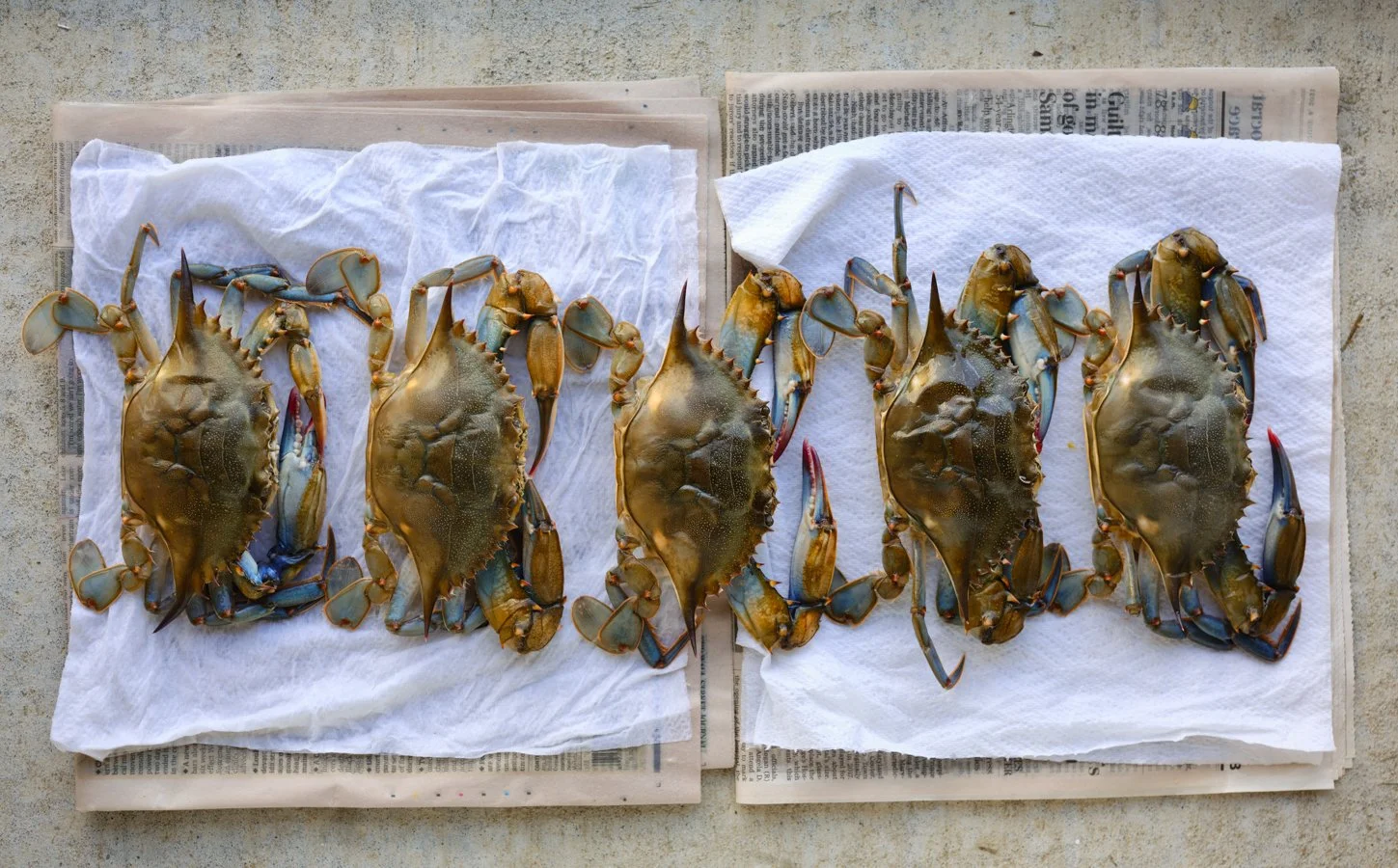 Soft-Shell-Crabs-Renee-Comet-Food-Photographer. For advertising food photography, food photography packaging, food photography online ordering, commercial food photography, food photography cookbooks, food photography libraries, food photography dig