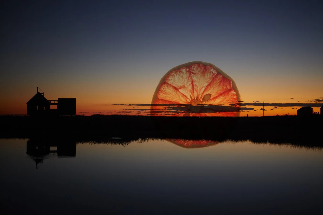 Citrus-Sunset-Renee-Comet-Food-Photographer. For advertising food photography, food photography packaging, food photography online ordering, commercial food photography, food photography cookbooks, food photography libraries, food photography digita