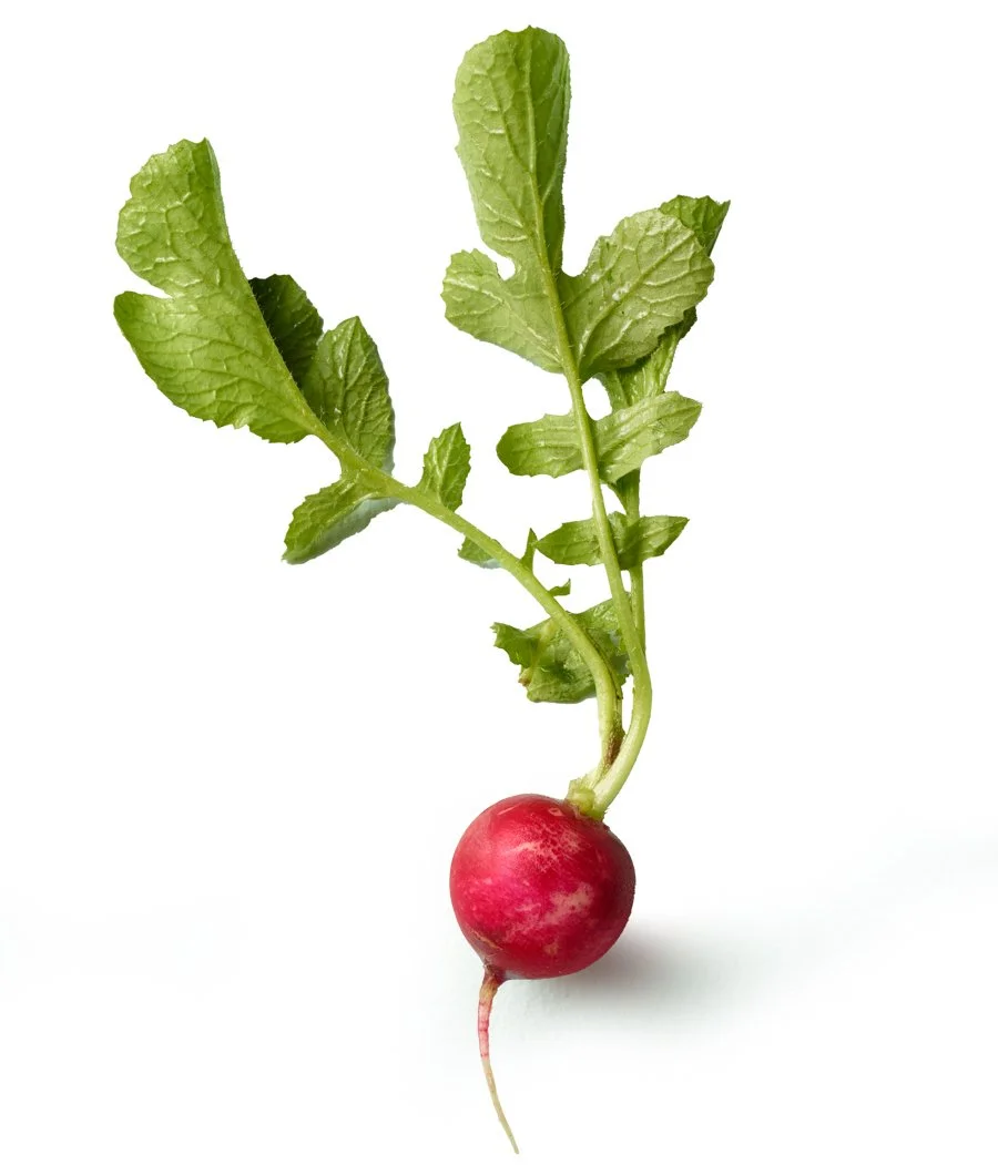 Radish-Personal-Project-Renee-Comet-Food-Photographer. For advertising food photography, food photography packaging, food photography online ordering, commercial food photography, food photography cookbooks, food photography libraries, food photogra