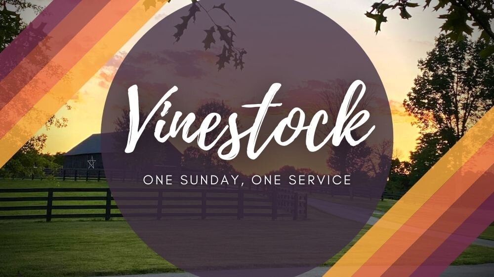 The sun rises above some farmland. It's a calm morning. 'Vinestock: One Sunday, One Service' is superimposed