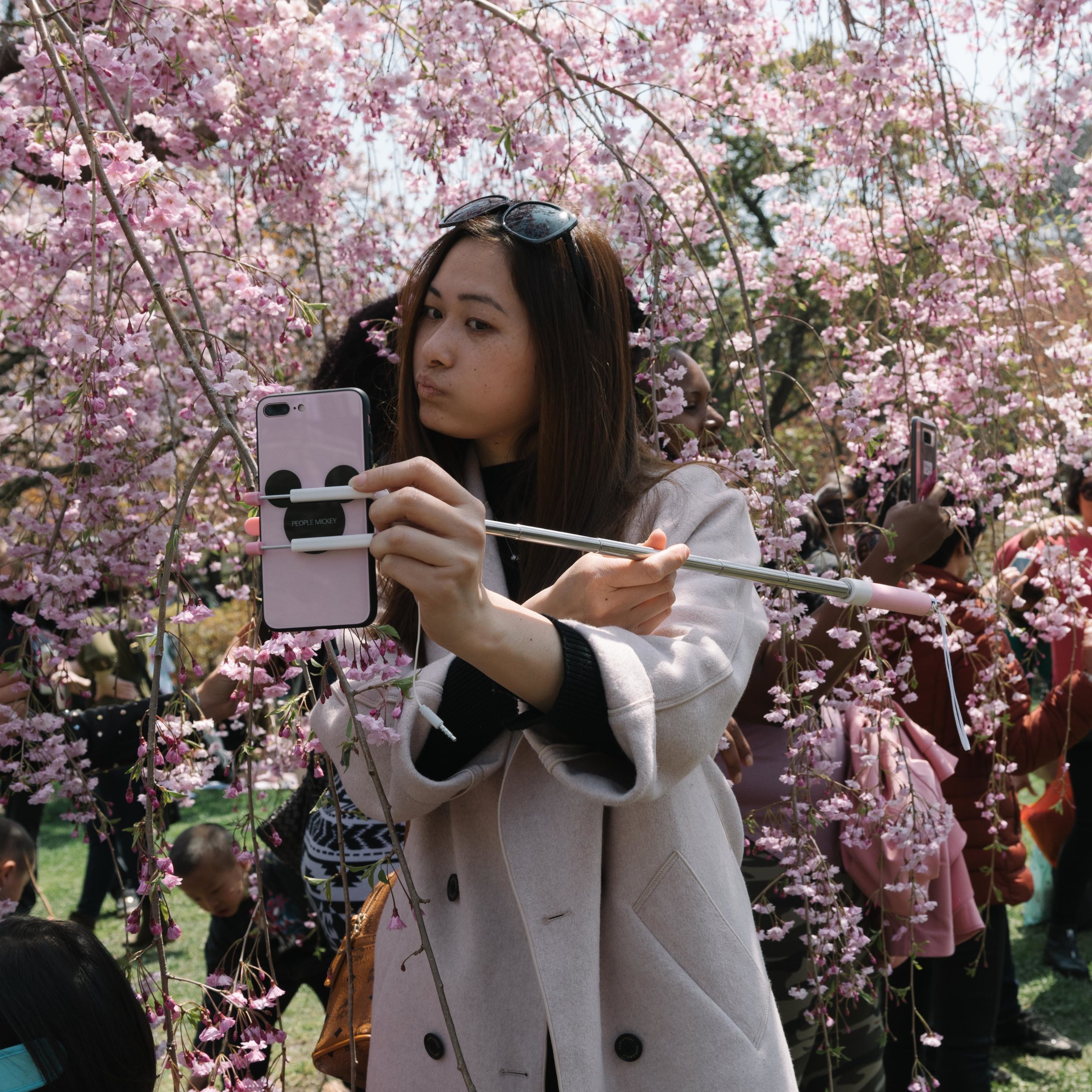  A visitor to the Sakura Matsuri cherry-blossom festival at the Brooklyn Botanic Garden poses for a selfie 