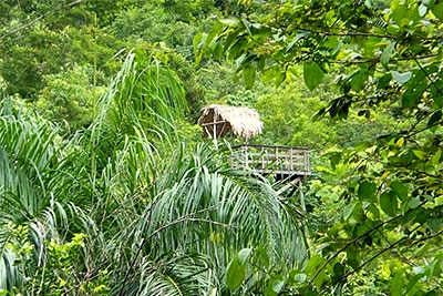 fire-tower2.jpg