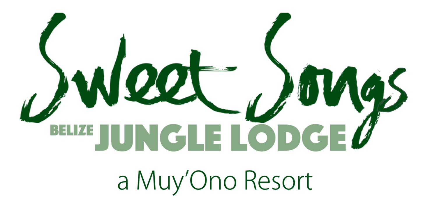 Sweet Songs Lodge