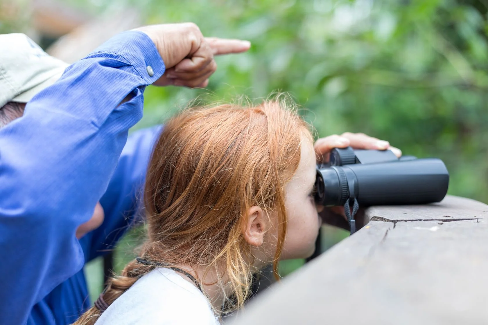Copy of 2190417sssbz00_bird-watching-1008.jpeg