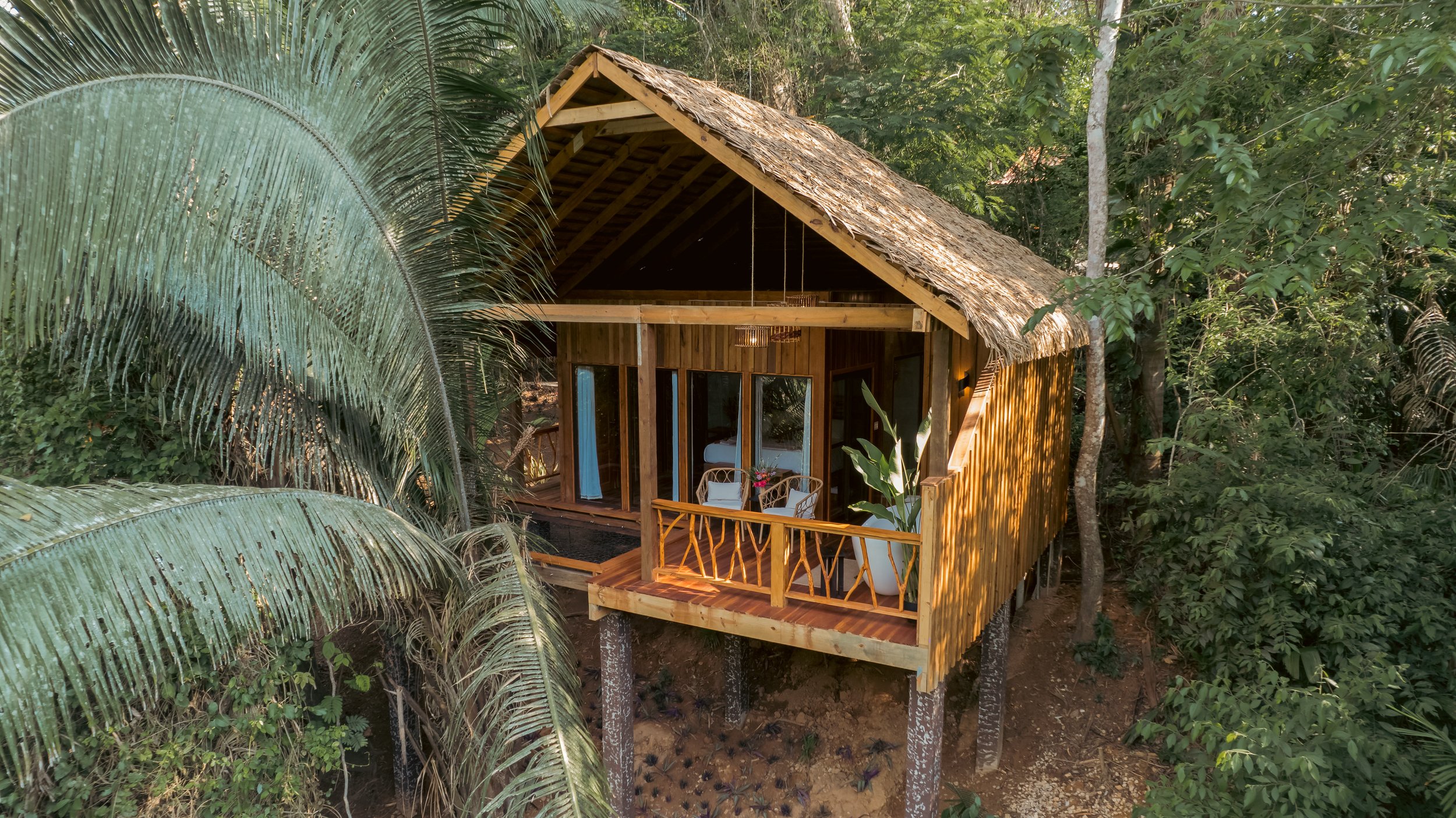 SSJL - Sig Treehouse1.jpg