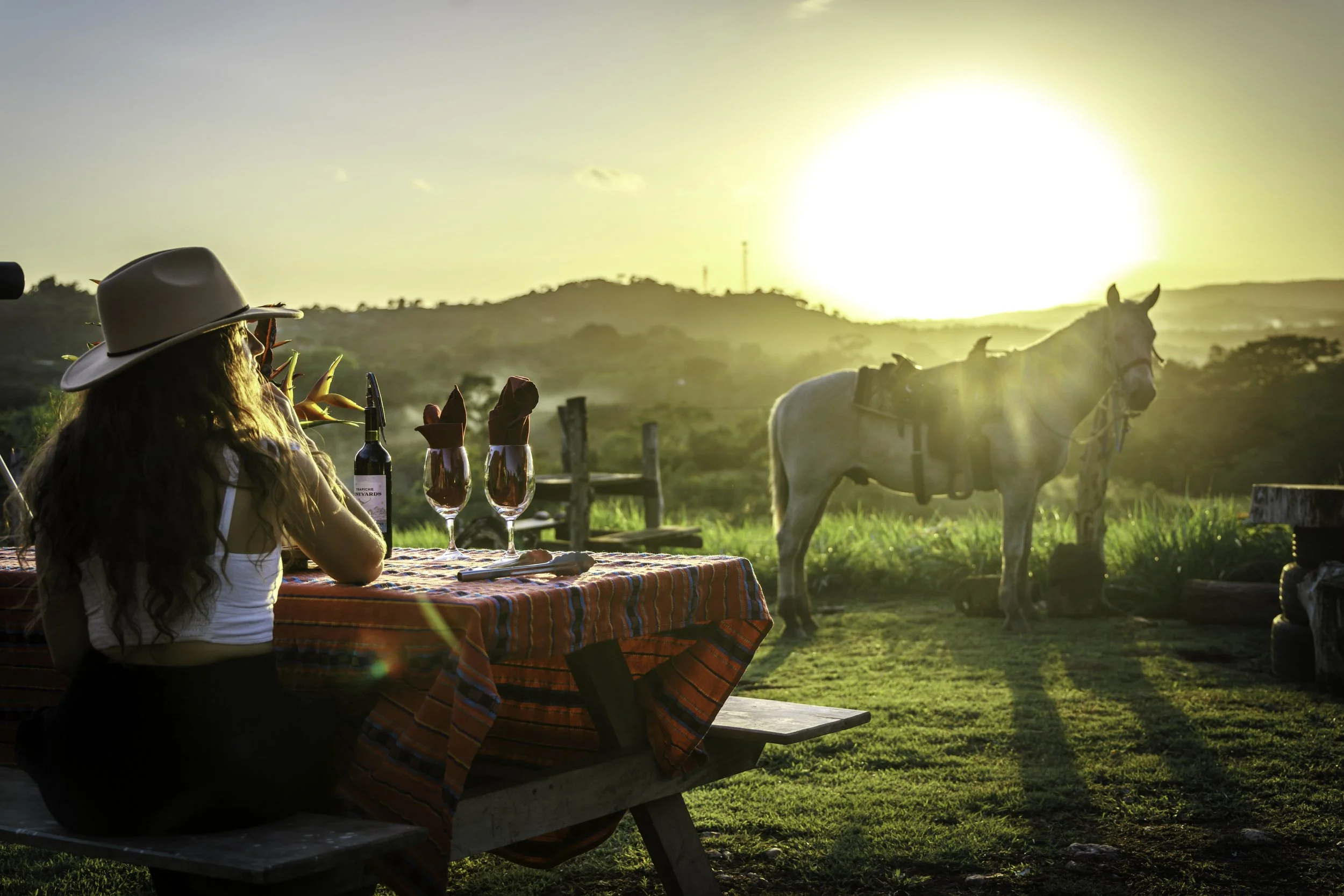 SSJL - Horse Charcuterie & Wine.jpg