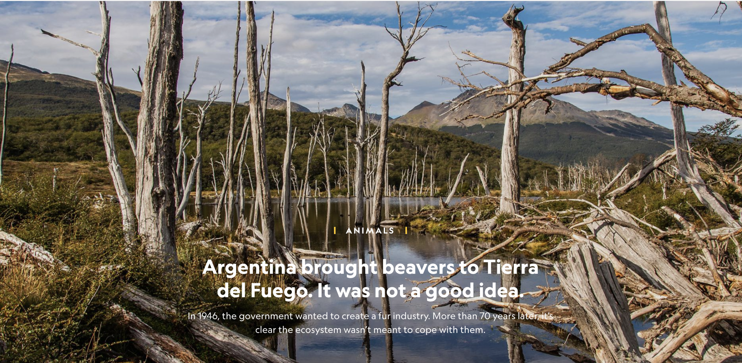 Tierra Del Fuego's Destruction - National Geographic