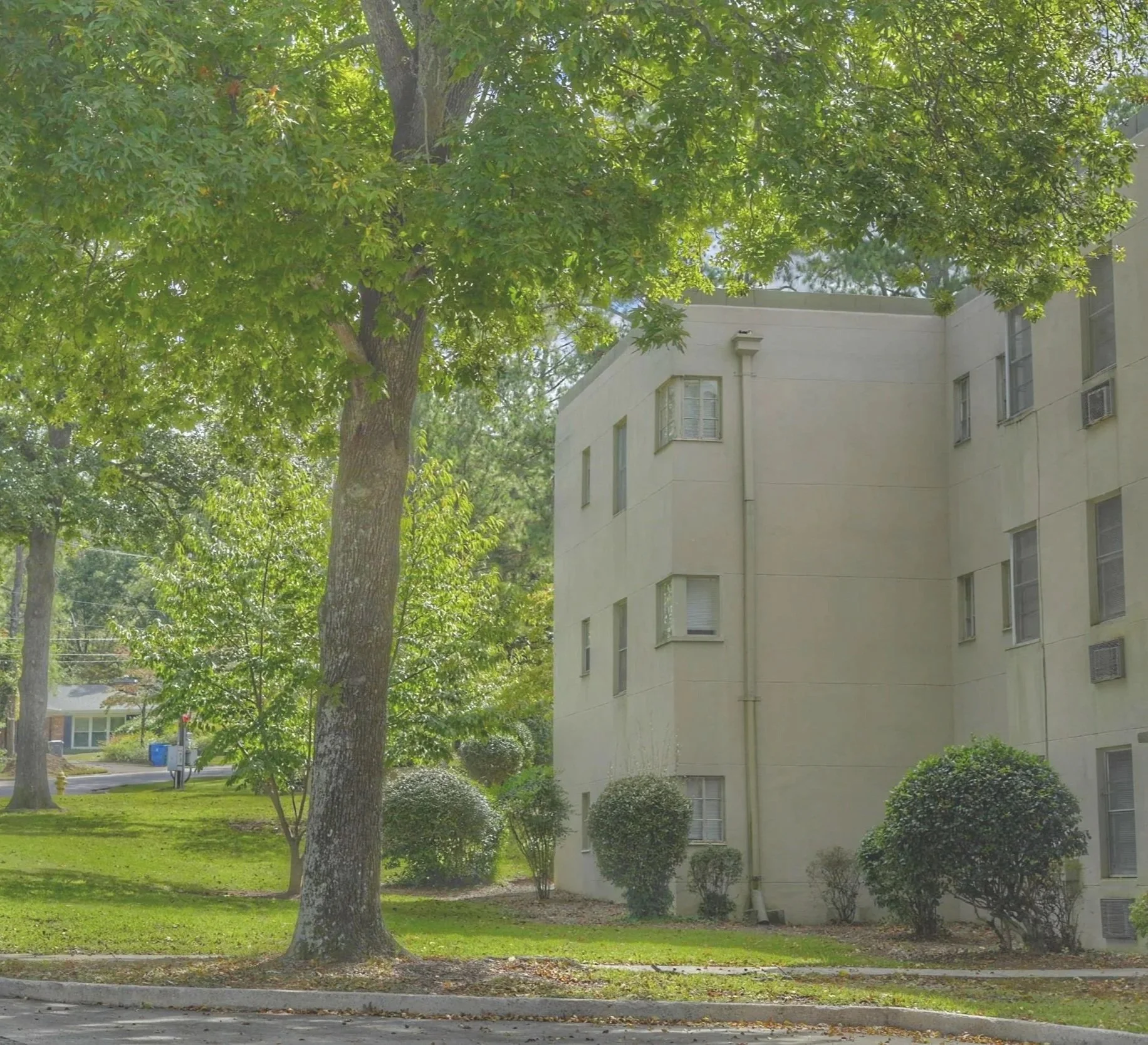 A tree with green leaves is in front of a beige residential building with several windows on a sunny day. There is a well-maintained grassy area with bushes and a sidewalk in the foreground.