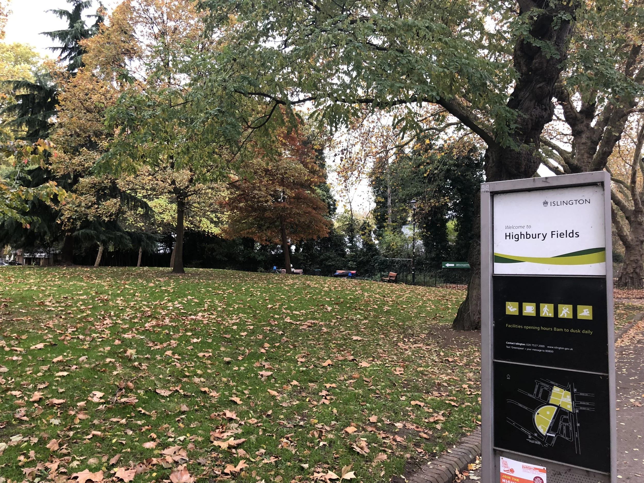 Dog walker approached by man who ‘threatened to kill’ her dogs