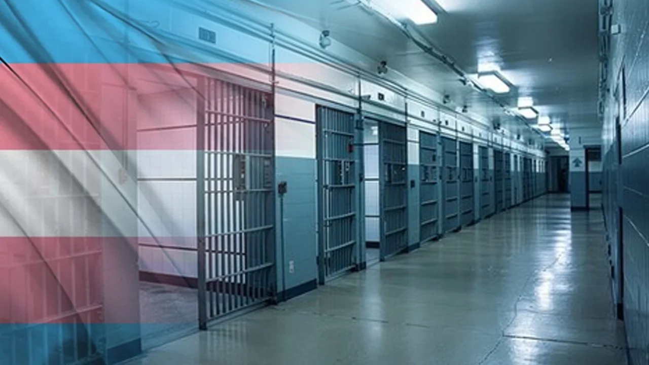 3-trans-prison (1).jpg