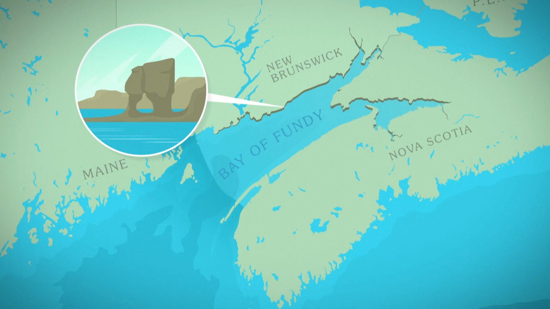 Screen Shot 2021-02-24 at 2.47.03 PM.png