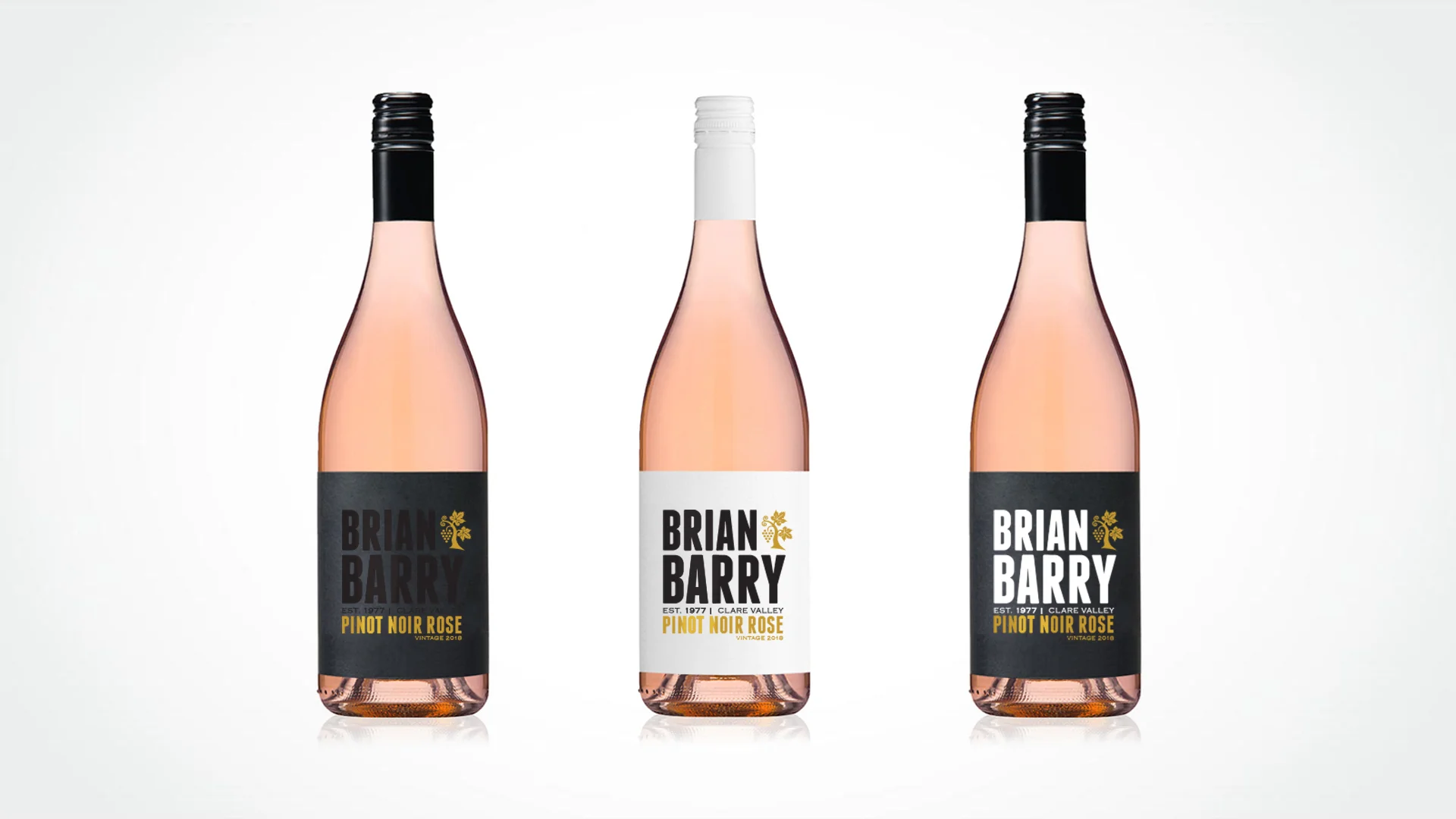  Wine labels designed for a winery looking to update a tired, outdated label to something more modern. They started with their rosé and expanded the same look to other varieties. 