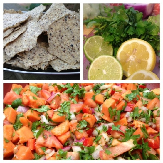 summer salsa.png