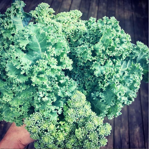 Sneak in the Veggies
