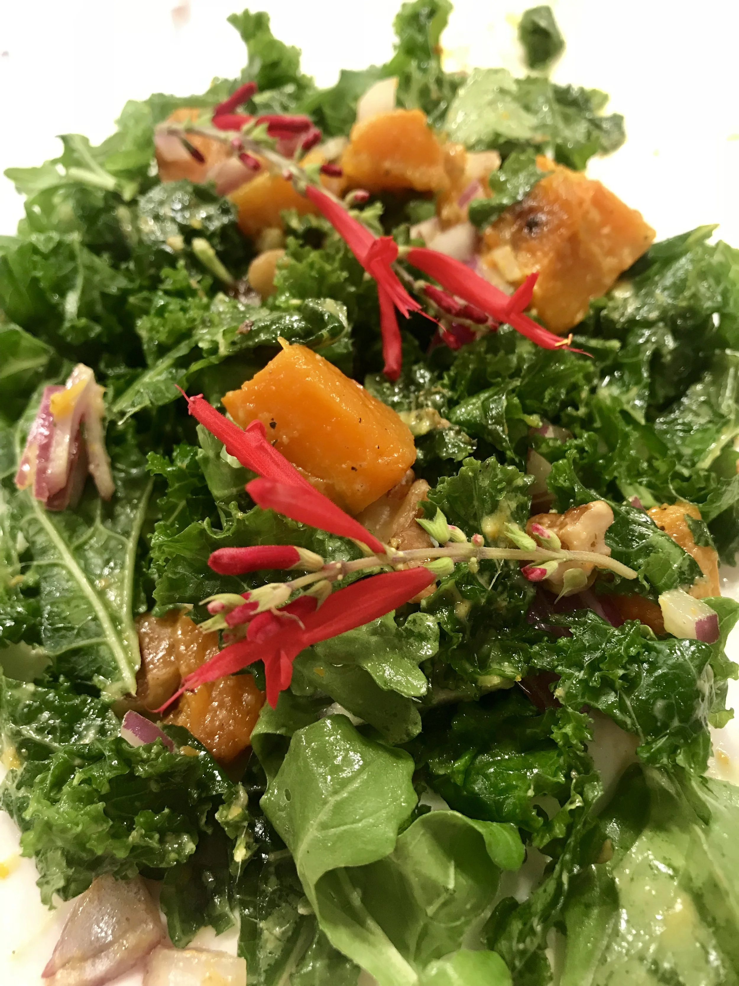 Quick Fall Butternut Salad