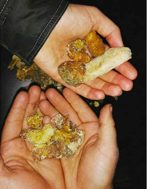 Pine Resin - RAW - (Rocky Mountains, CO) — Mountain Hedgewitch