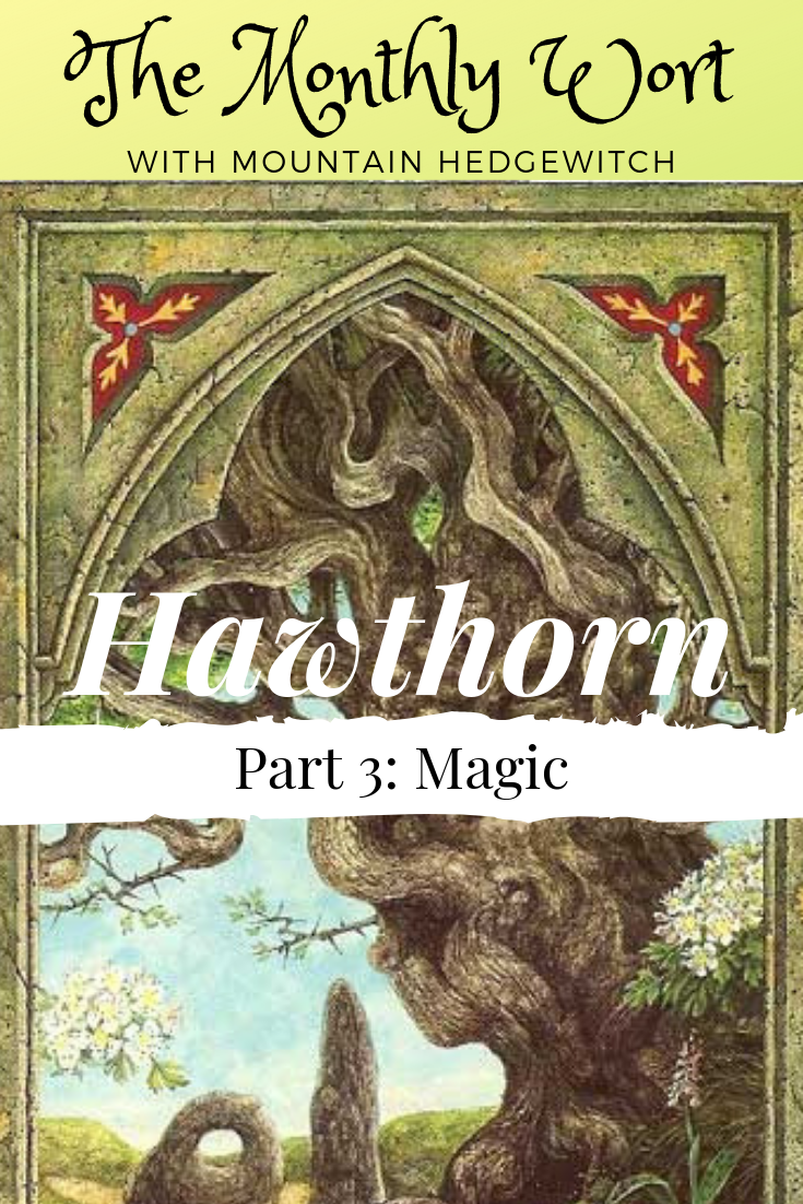 MW Hawthorn Pin 3.png