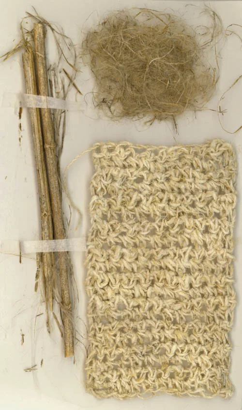 nettlefibres.jpg