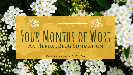 Four Months of Wort Blog Header.png