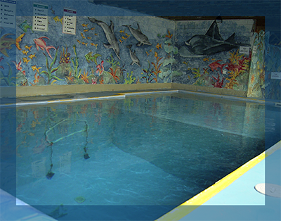 Ocean View Diving Services, Lancing