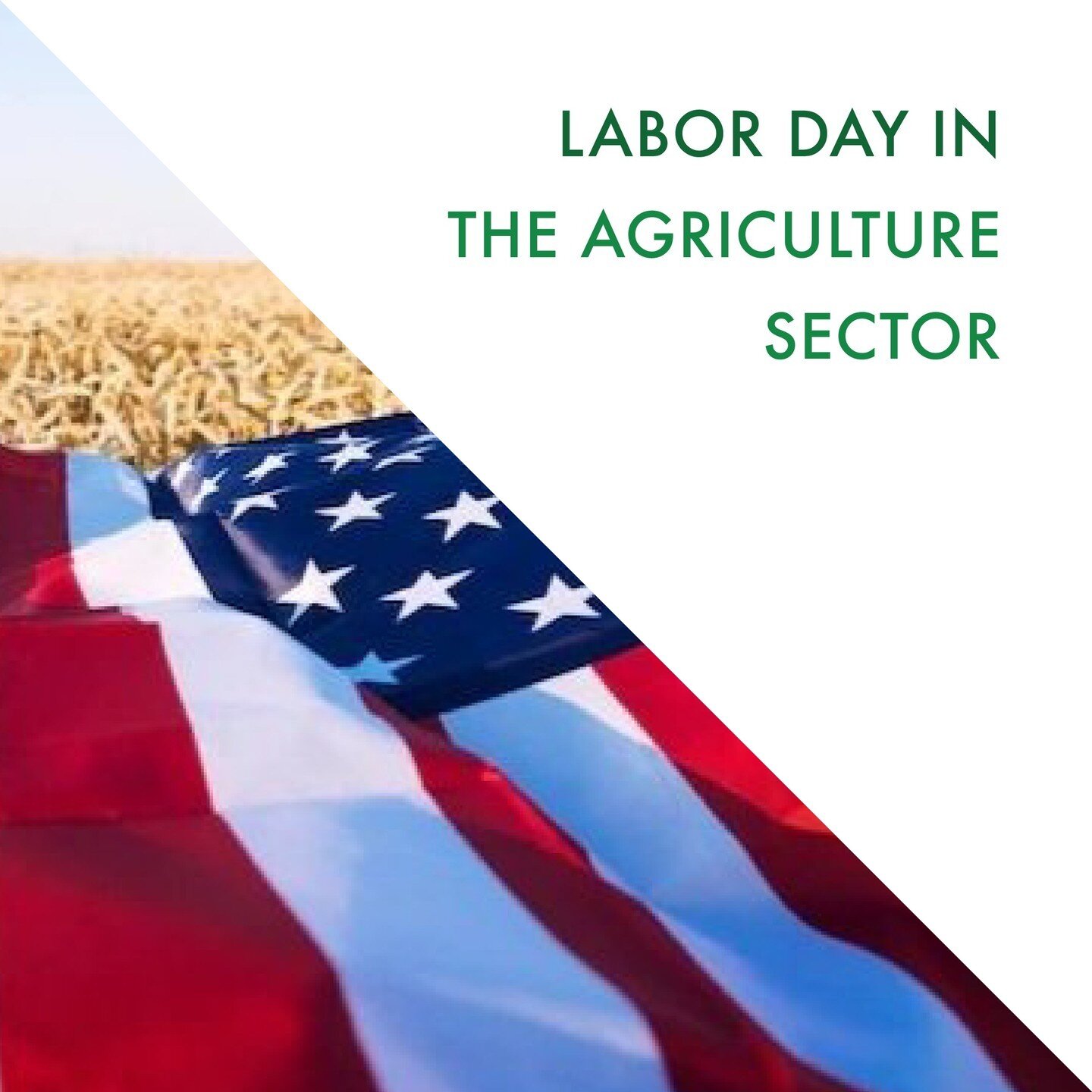 Labor Day has been a recognized holiday in the US for more than a century. It was created after several initiatives, such as labor-related movements and activism. The history of Labor Day in the agricultural industry is described here.

For more info