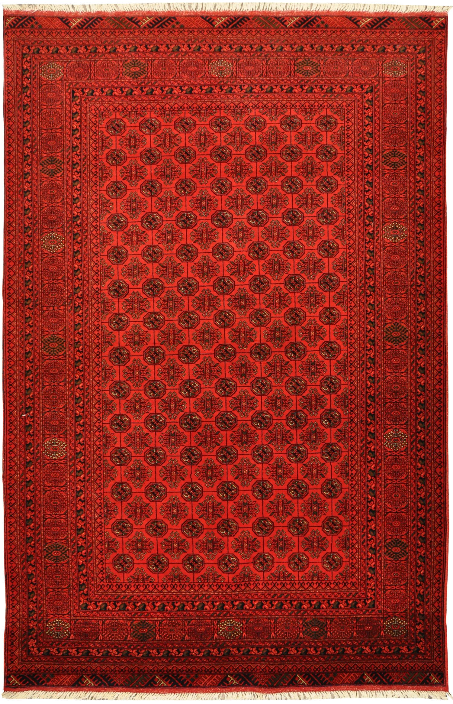 Medium Rugs Karimi Rugs