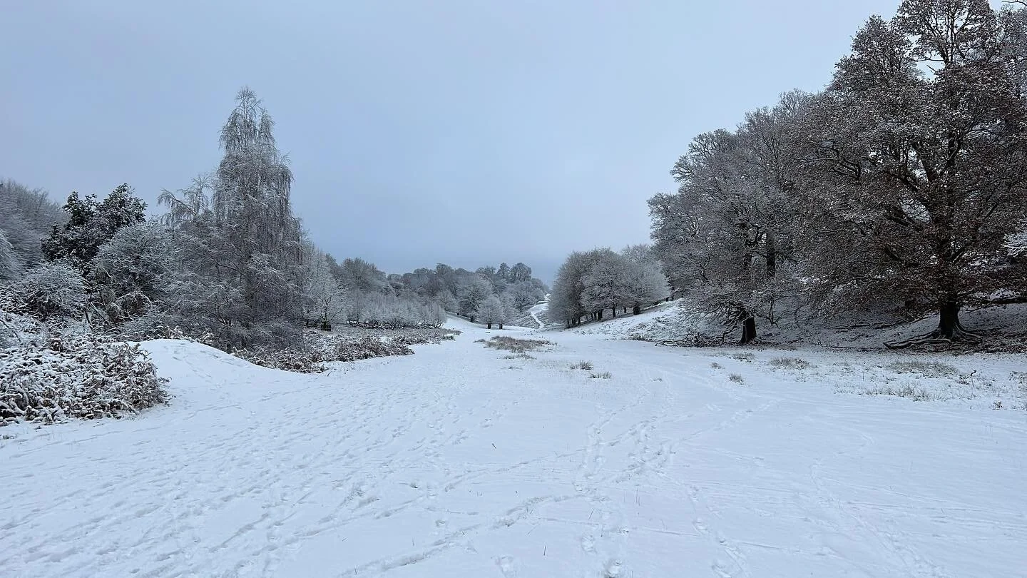 Karimi Rugs Oriental Rug Specialist Sevenoaks Kent