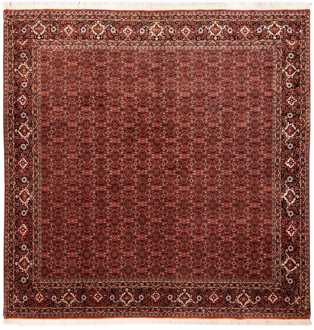Fine Persian Square Bidjar Rug 210cm x 210cm Karimi Rugs