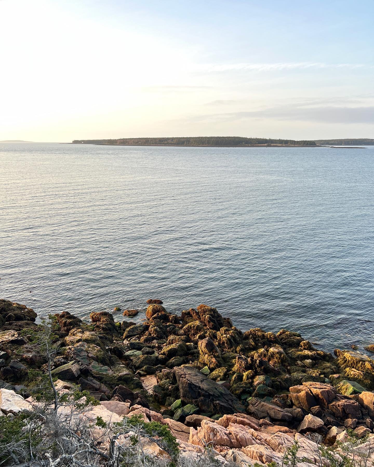 Top Acadia National Park trail recs for your next vacation 🙌🏻❤️

1. Bass Harbor lighthouse (0.4 miles, super easy). There&rsquo;s parking at the trailhead and the trail wraps around both sides of the lighthouse, affording a spot for good photos reg