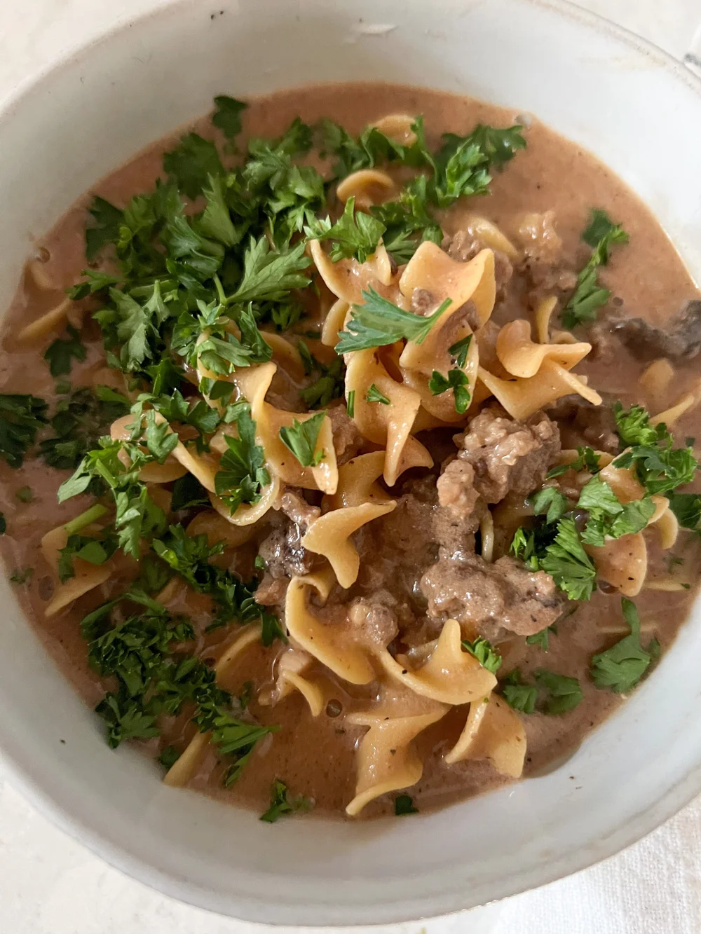 Beef Stroganoff Soup — Her Flour Garden