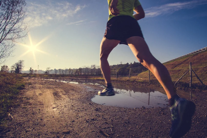 Trail Run.jpg