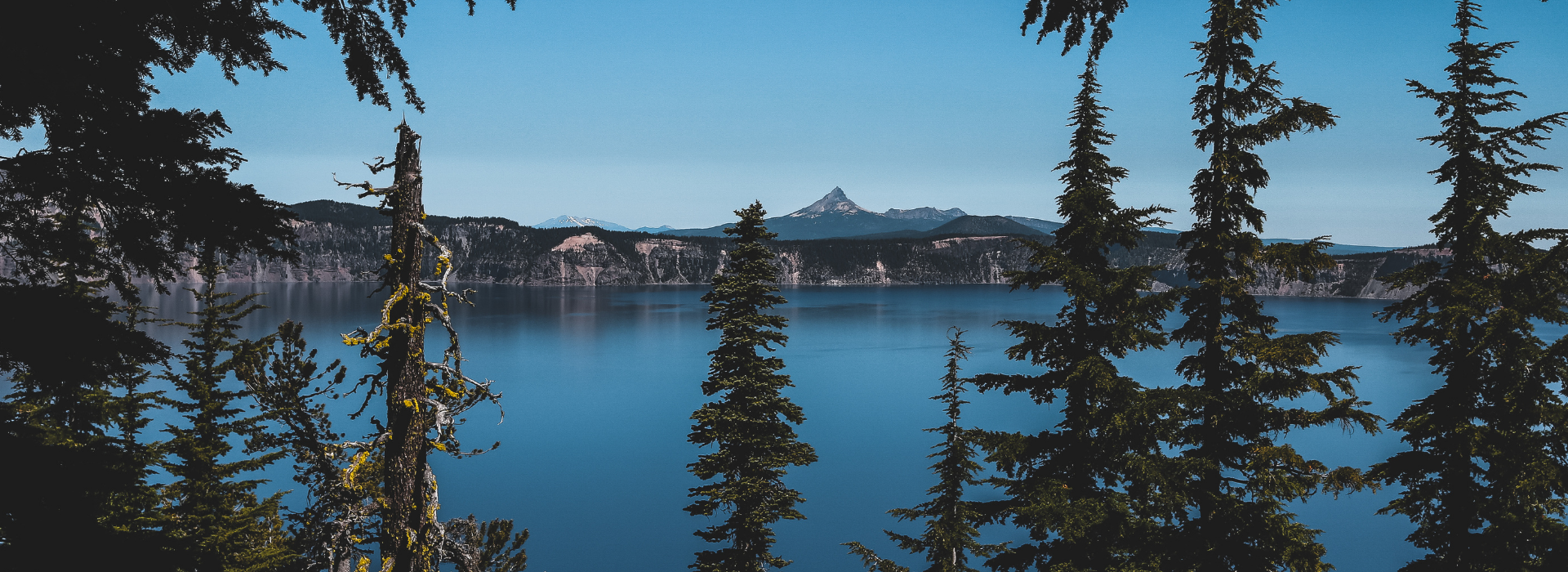 Boones Banner (9).png