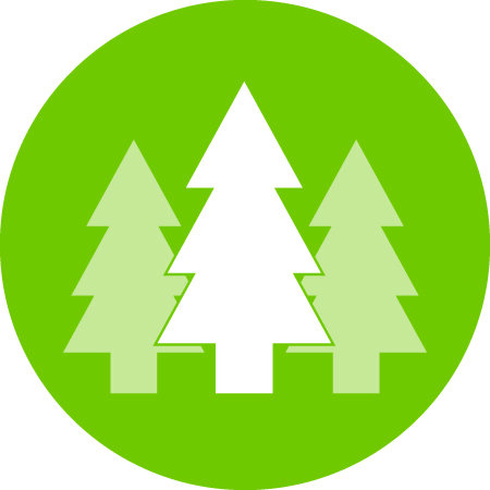 TCF - Working Forest Fund (1).jpg