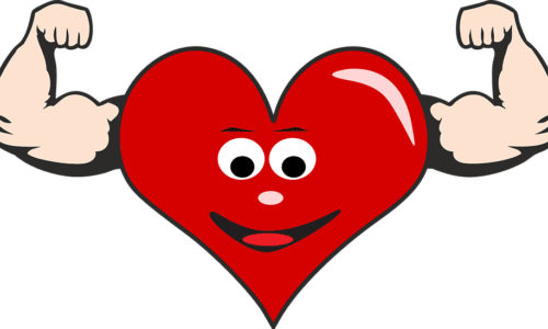 muscle-heart-500x300.png