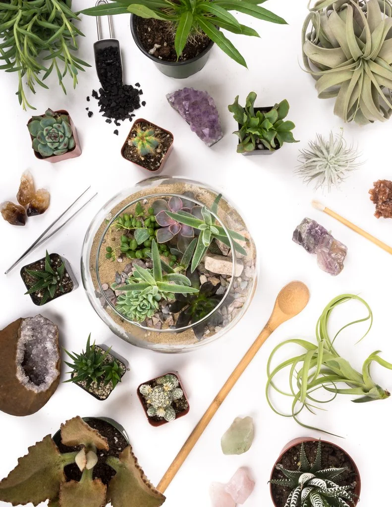 Modern Terrarium Bar