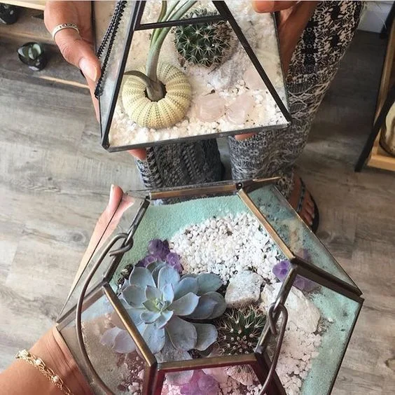 Modern Terrarium Bar