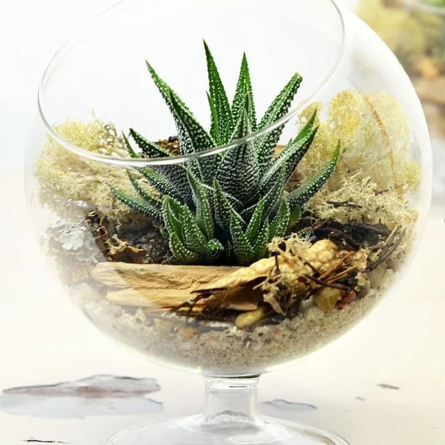 Modern Terrarium Bar