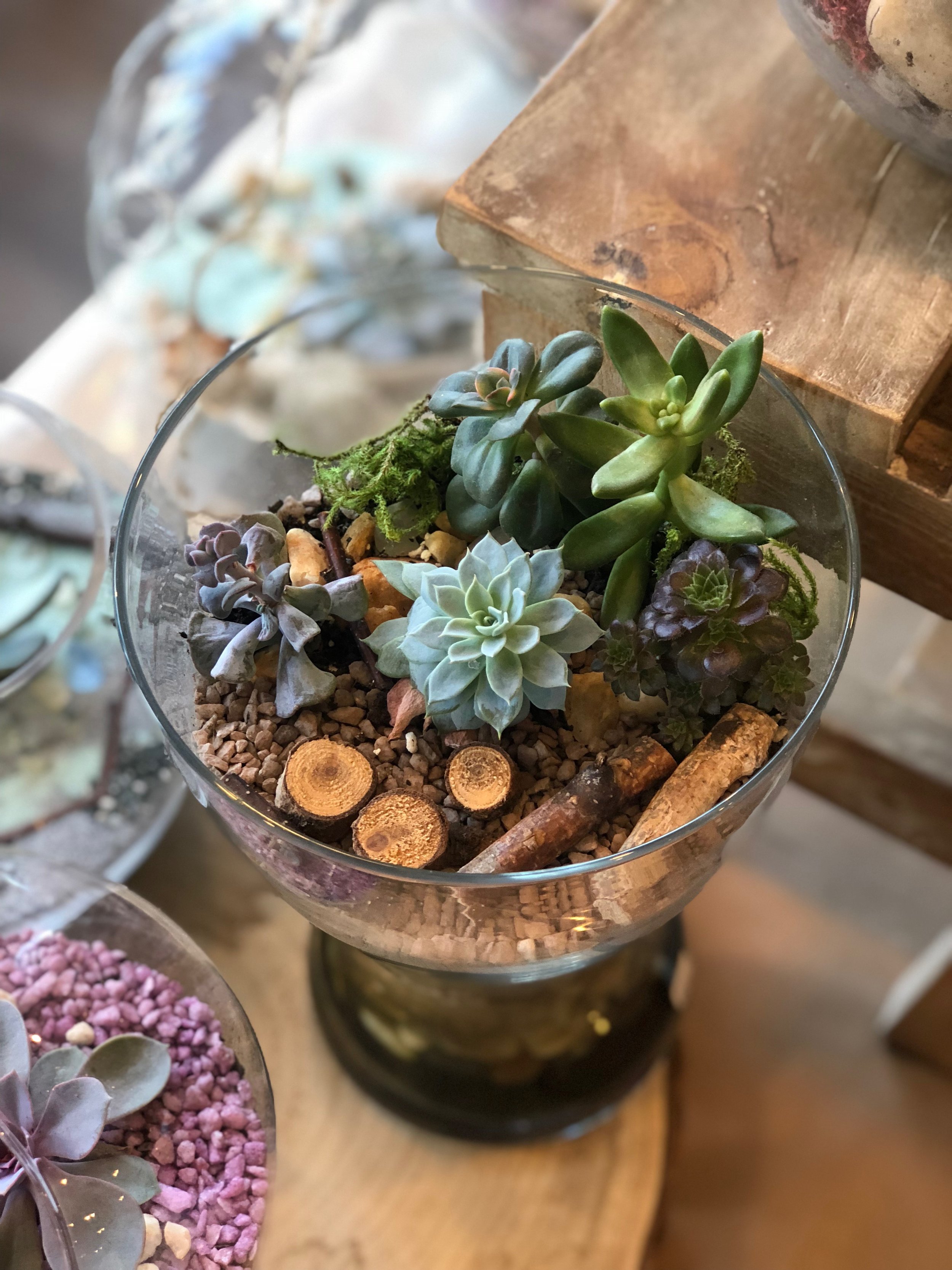 Plant Gallery Modern Terrarium Bar By Recreateu