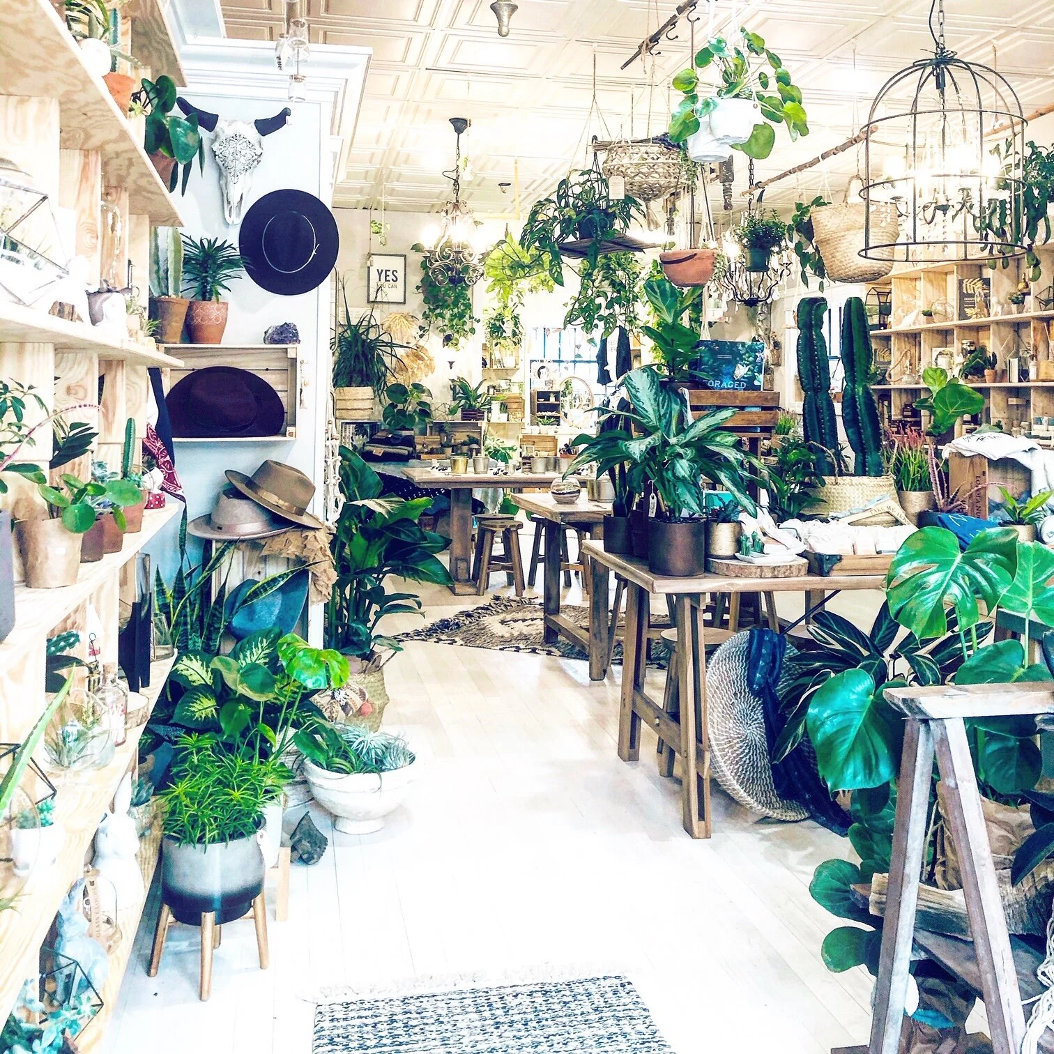 Modern Terrarium Bar