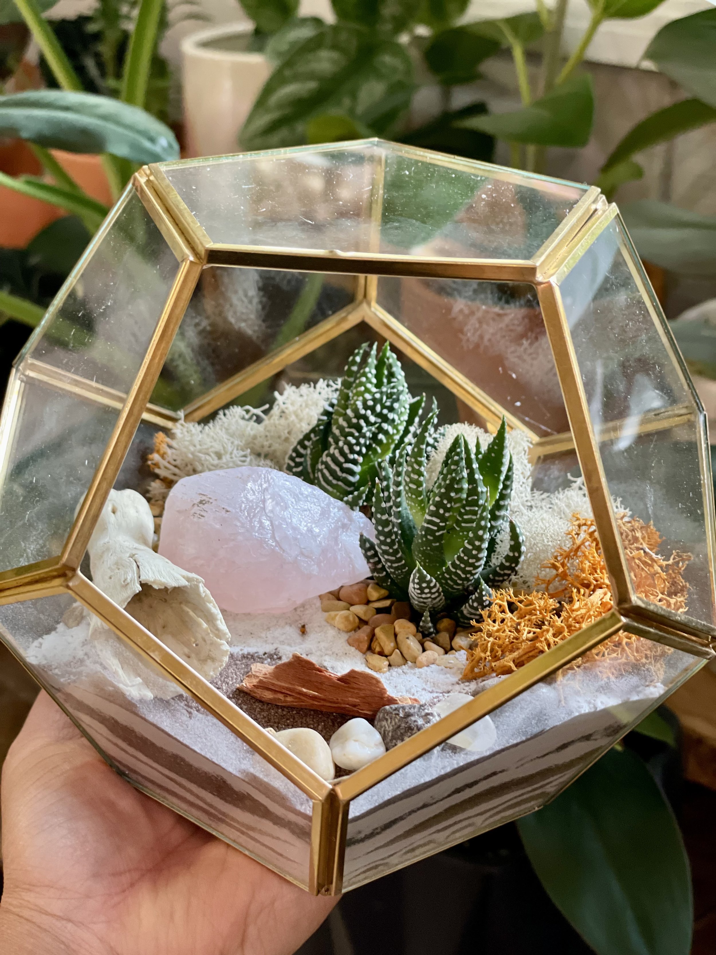Terrarium DIY Kit Handmade Octagonal Clear Glass Planter 