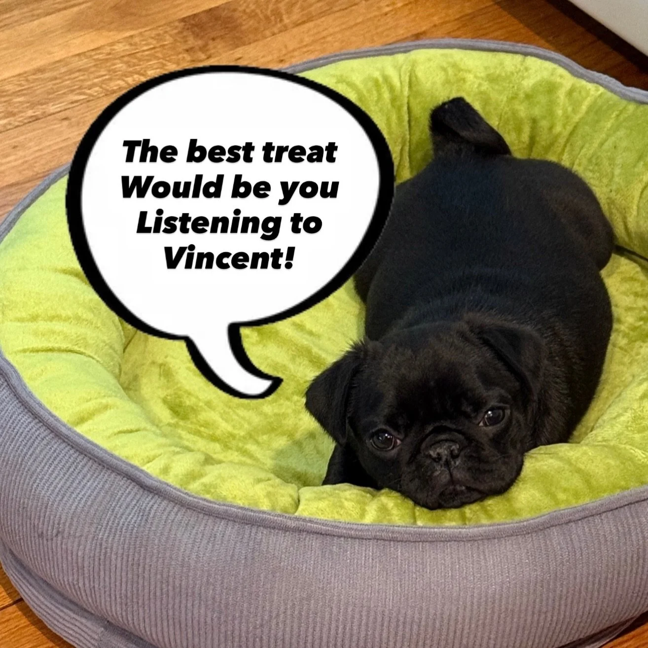 Rosalina has good taste.