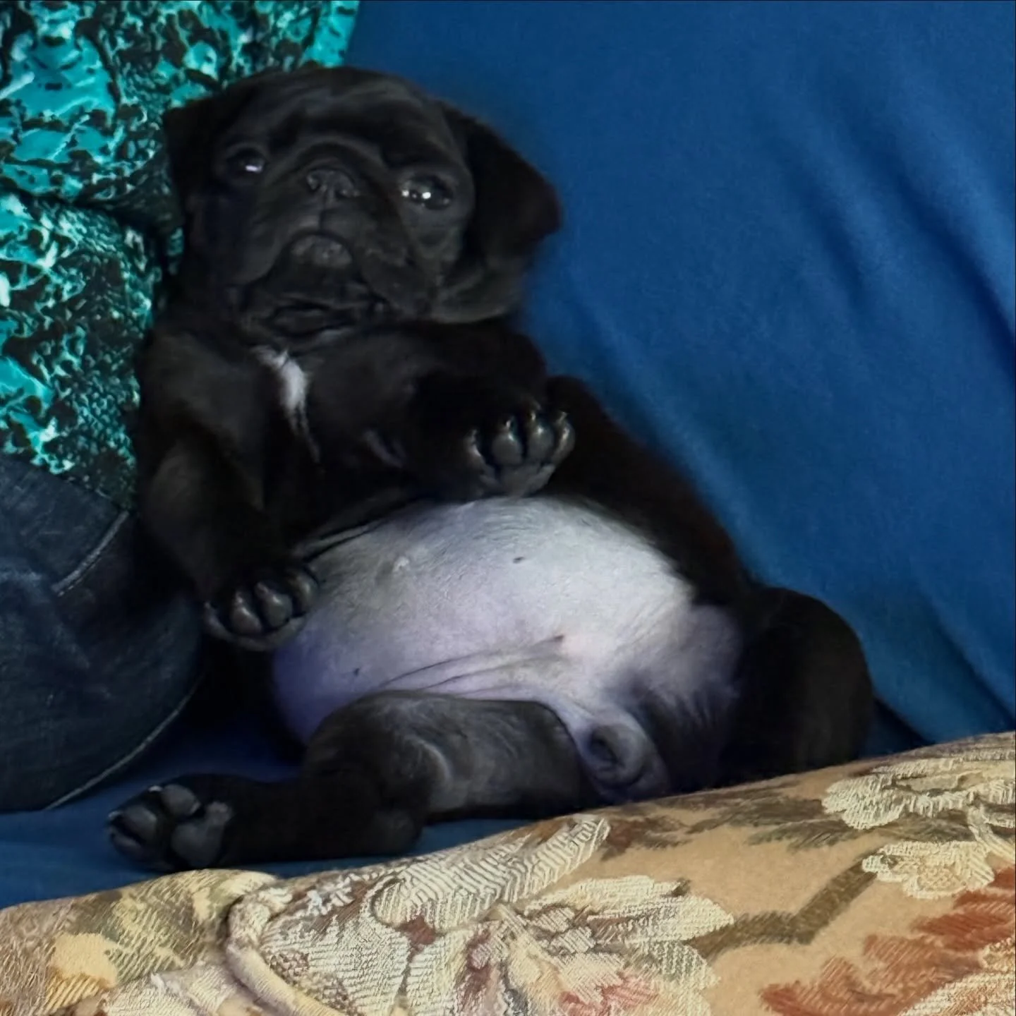 &hellip;I think she&rsquo;s relaxed.