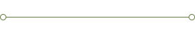 Divider-Green.png